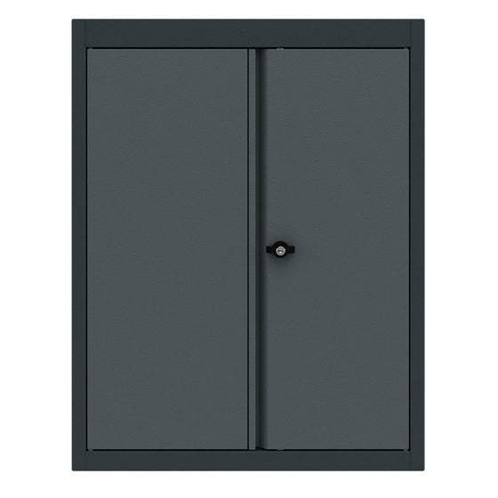 2 Door Base Cabinet (PRO-009)